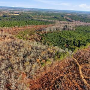 Photo #2 of Off Highway 34, Bishopville, SC 92.7 acres