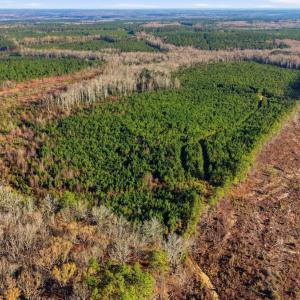 Photo #17 of Off Highway 34, Bishopville, SC 92.7 acres