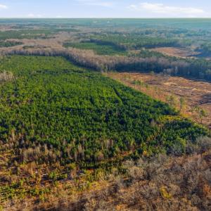 Photo #20 of Off Highway 34, Bishopville, SC 92.7 acres