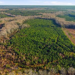 Photo #5 of Off Highway 34, Bishopville, SC 92.7 acres