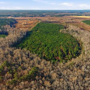 Photo #6 of Off Highway 34, Bishopville, SC 92.7 acres