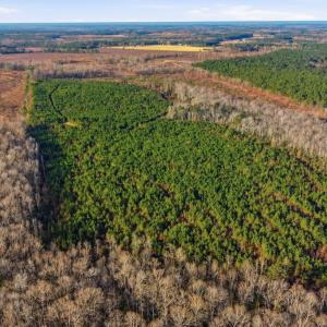 Photo #9 of Off Highway 34, Bishopville, SC 92.7 acres