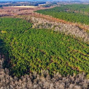 Photo #10 of Off Highway 34, Bishopville, SC 92.7 acres