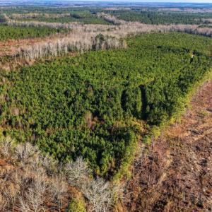 Photo #25 of Off Highway 34, Bishopville, SC 92.7 acres