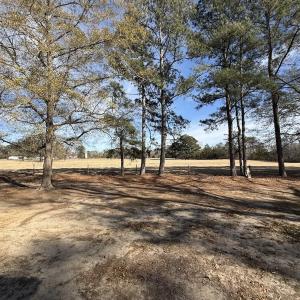 Photo #46 of 3572 NC Highway 42 E, Tarboro, NC 42.8 acres