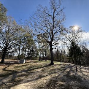 Photo #47 of 3572 NC Highway 42 E, Tarboro, NC 42.8 acres