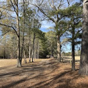 Photo #49 of 3572 NC Highway 42 E, Tarboro, NC 42.8 acres