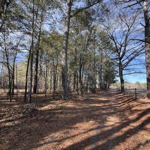 Photo #50 of 3572 NC Highway 42 E, Tarboro, NC 42.8 acres