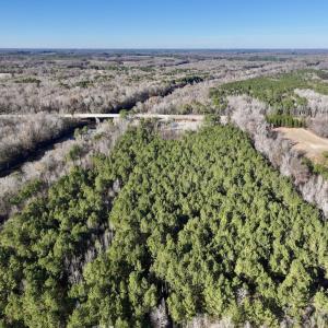 Photo #60 of 3572 NC Highway 42 E, Tarboro, NC 42.8 acres