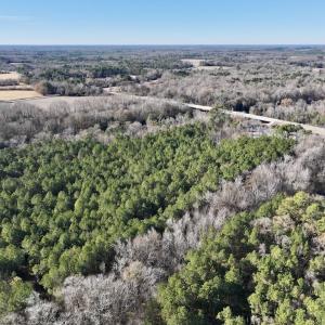 Photo #62 of 3572 NC Highway 42 E, Tarboro, NC 42.8 acres