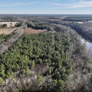 Photo #54 of 3572 NC Highway 42 E, Tarboro, NC 42.8 acres