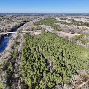 Photo #59 of 3572 NC Highway 42 E, Tarboro, NC 42.8 acres