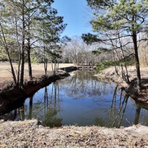 Photo #71 of 3572 NC Highway 42 E, Tarboro, NC 42.8 acres