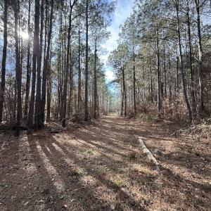 Photo #74 of 3572 NC Highway 42 E, Tarboro, NC 42.8 acres