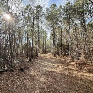 Photo #75 of 3572 NC Highway 42 E, Tarboro, NC 42.8 acres