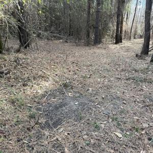 Photo #79 of 3572 NC Highway 42 E, Tarboro, NC 42.8 acres