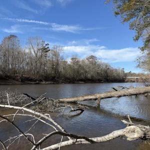 Photo #80 of 3572 NC Highway 42 E, Tarboro, NC 42.8 acres