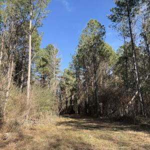 Photo #85 of 3572 NC Highway 42 E, Tarboro, NC 42.8 acres