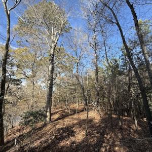 Photo #86 of 3572 NC Highway 42 E, Tarboro, NC 42.8 acres