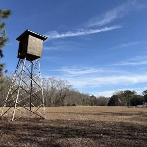 Photo #91 of 3572 NC Highway 42 E, Tarboro, NC 42.8 acres