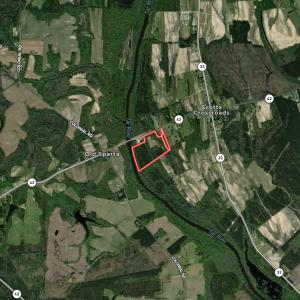 Photo #94 of 3572 NC Highway 42 E, Tarboro, NC 42.8 acres