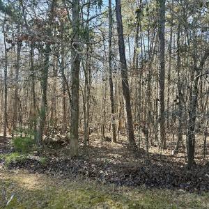 Photo #16 of 200 harbor drive west, Lexington, NC 4.1 acres
