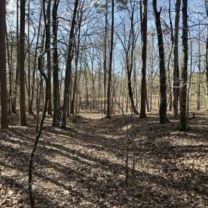 Photo #18 of 200 harbor drive west, Lexington, NC 4.1 acres