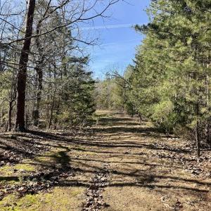 Photo #3 of 200 harbor drive west, Lexington, NC 4.1 acres