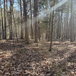 Photo #5 of 200 harbor drive west, Lexington, NC 4.1 acres