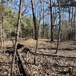 Photo #7 of 200 harbor drive west, Lexington, NC 4.1 acres