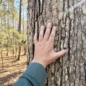 Photo #8 of 200 harbor drive west, Lexington, NC 4.1 acres