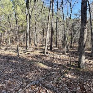 Photo #9 of 200 harbor drive west, Lexington, NC 4.1 acres