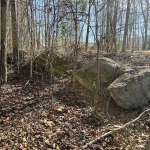 Photo #22 of 200 harbor drive west, Lexington, NC 4.1 acres