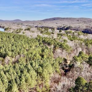 Photo #23 of 200 harbor drive west, Lexington, NC 4.1 acres