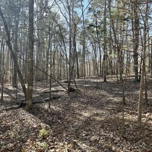 Photo #24 of 200 harbor drive west, Lexington, NC 4.1 acres