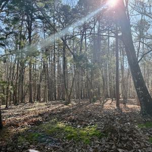 Photo #29 of 200 harbor drive west, Lexington, NC 4.1 acres