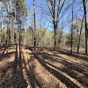 Photo #30 of 200 harbor drive west, Lexington, NC 4.1 acres