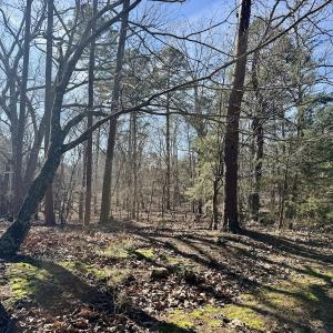 Photo #33 of 200 harbor drive west, Lexington, NC 4.1 acres