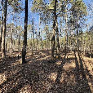 Photo #34 of 200 harbor drive west, Lexington, NC 4.1 acres