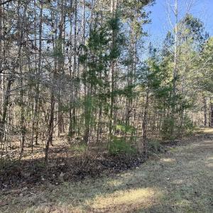 Photo #36 of 200 harbor drive west, Lexington, NC 4.1 acres