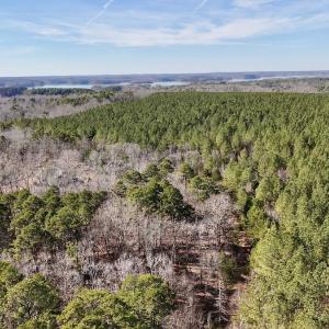 Photo #39 of 200 harbor drive west, Lexington, NC 4.1 acres