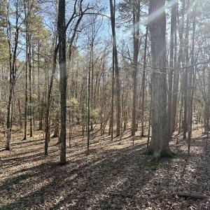 Photo #40 of 200 harbor drive west, Lexington, NC 4.1 acres