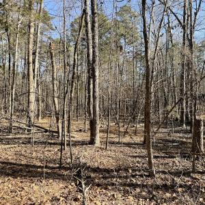 Photo #41 of 200 harbor drive west, Lexington, NC 4.1 acres