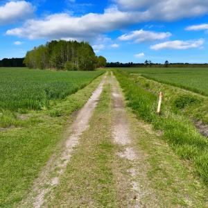 Photo #7 of NC 171 Hwy, Washington, NC 105.0 acres