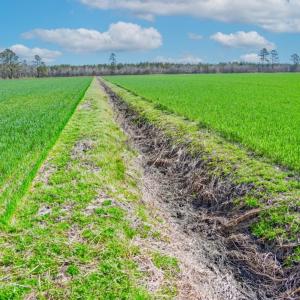 Photo #8 of NC 171 Hwy, Washington, NC 105.0 acres