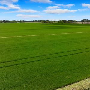 Photo #15 of NC 171 Hwy, Washington, NC 105.0 acres