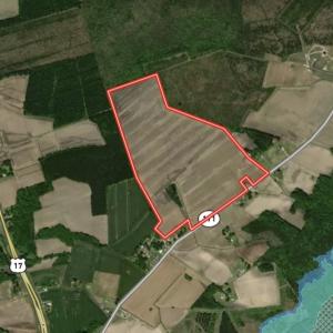 Photo #16 of NC 171 Hwy, Washington, NC 105.0 acres