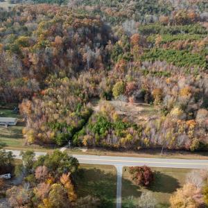 Photo #6 of 10406 Park Springs Rd, Ruffin, NC 8.7 acres