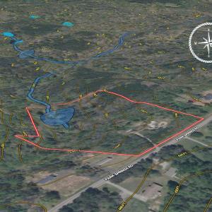 Photo #11 of 10406 Park Springs Rd, Ruffin, NC 8.7 acres