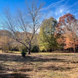 Photo #12 of 10406 Park Springs Rd, Ruffin, NC 8.7 acres
